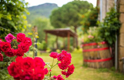 Mas Ombravella - Foto 31