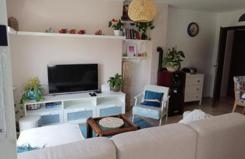 Apartman Kopriva - Photo 3