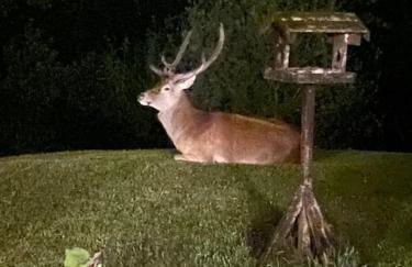 Tarmachan Cottage - West Highland Getaway - Photo 53