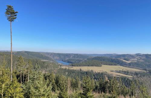 AR Apartments II I 5 Pers I Prime I Küche I WLAN I am Thüringer Meer - Foto 47