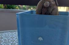 Best Residence Termoli - Foto 38