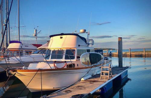 Motor Yacht Sea Wolf - Foto 1