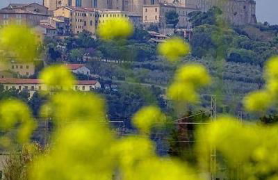 Villetta con giardino e parcheggio coperto - Foto 39
