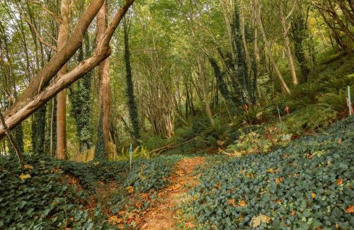 Sweet Lil Casita Puget Sound Hideaway - Photo 17