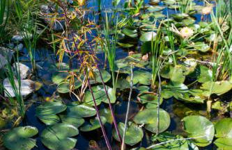 Tenuta di campagna con piscina immersa nel verde - Foto 68