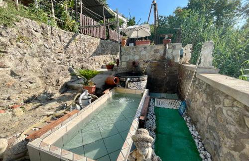 Villa Raffaela - Appartamenti Lacco Ameno - Foto 40