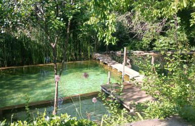 Casas Rurales Camino del Castaño - Foto 55