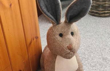 Rural Farm Cottage nr Canterbury - logburner, parking, 2bed and 2bath -idyllic setting - Foto 23