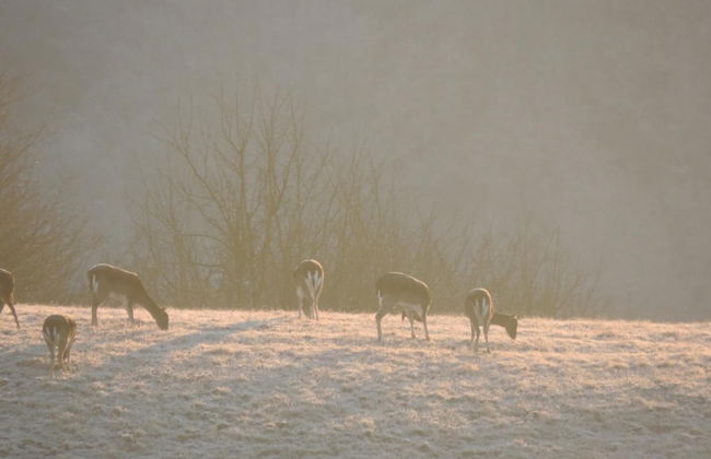 Società Agricola Cacigolara - Foto 56