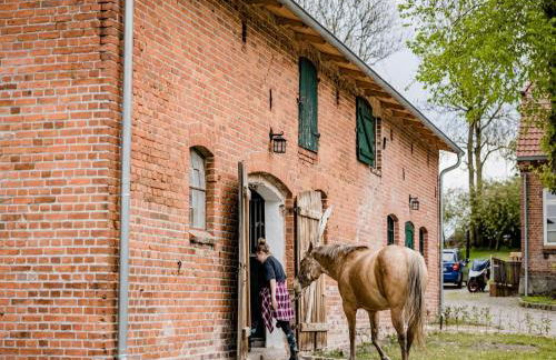 Wohnung in Lübberstorf am Neuklostersee - Foto 19