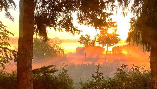 Apartment Sarah - Foto 5, Garden view