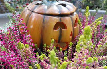 Kristians Hus - Foto 6