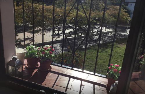 Golondrina - Foto 35