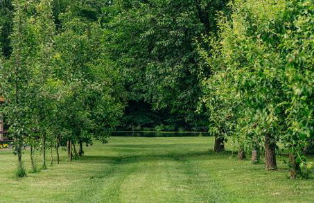 Rudine 41 - Off-Grid Riverside Home - Foto 8