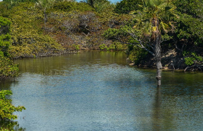 Tour por las lagunas Santo Amaro y das Américas - Foto 1