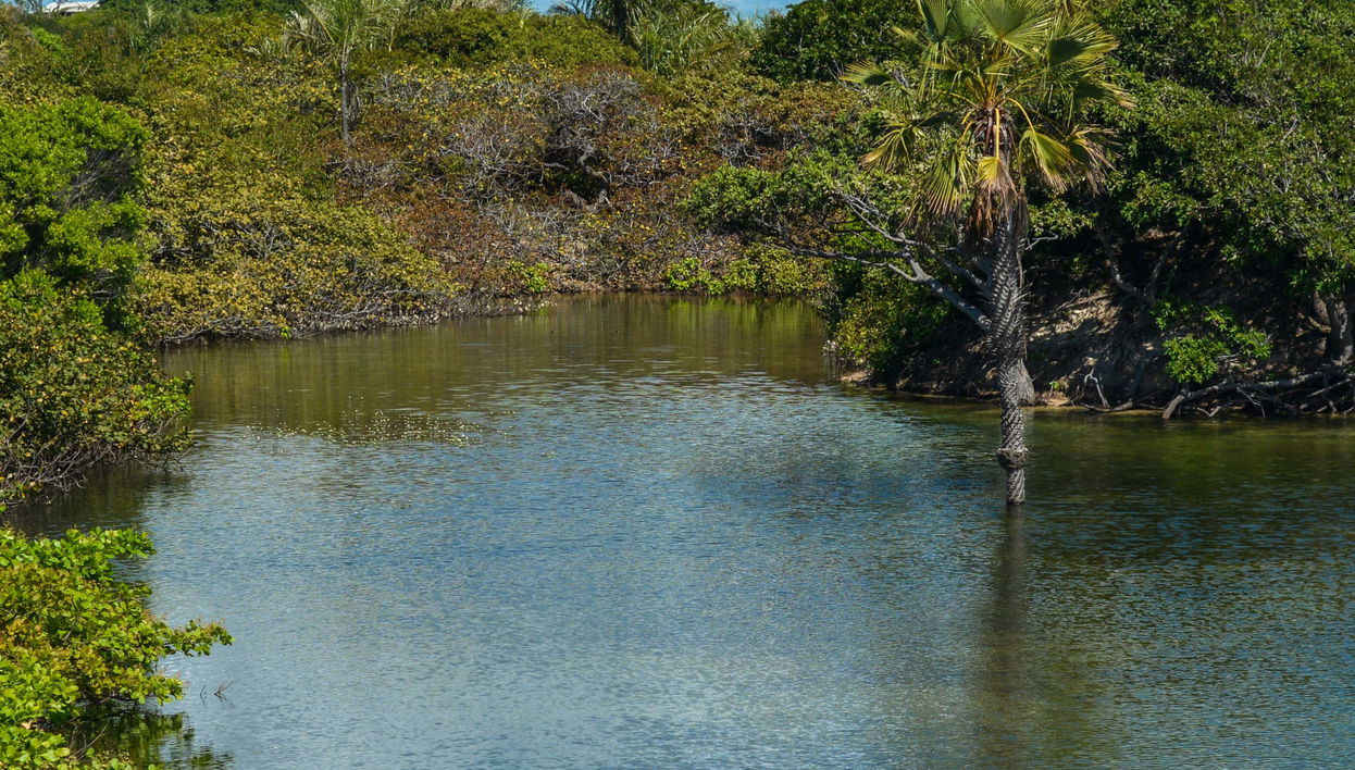 Speedboat Ride to Lagoa das Américas