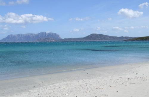 Mansion On The Hill - Photo 32