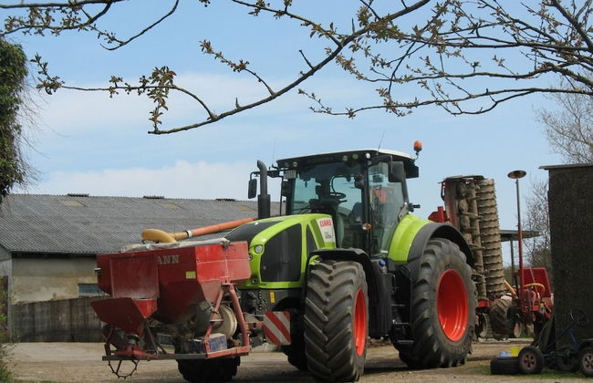 Dorotheenhof - Foto 17