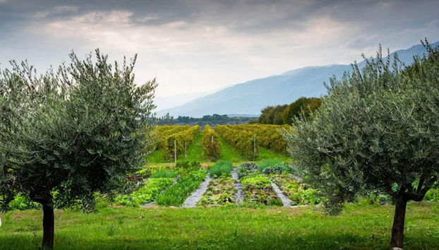 Hotel Agriturismo Al Luogo Del Giulio - Photo 2, Primary image