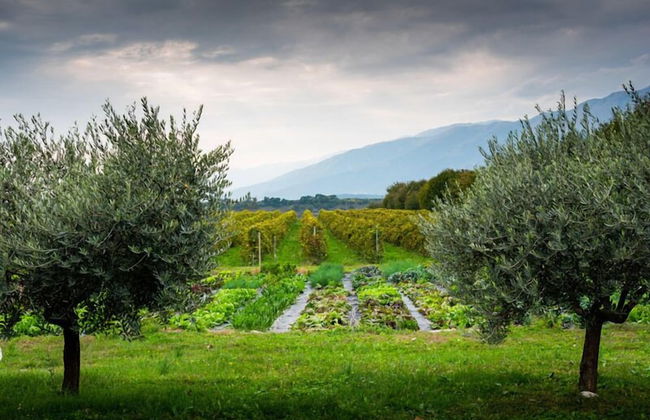 Agriturismo Al Luogo del Giulio - Foto 1
