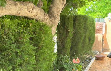 Casa Rural con encanto Señorio Manchego ALBACETE - Foto 21