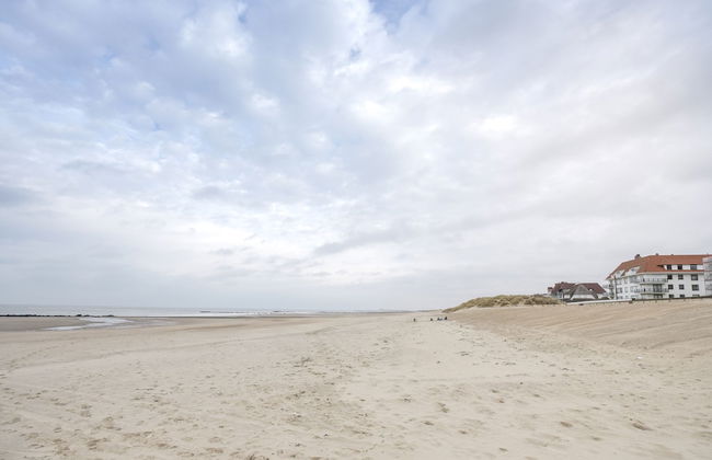 Sea Me If You Can - Foto 20