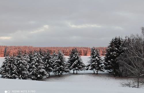 Behagliches Ferienhaus Zaunkönig -mit Kamin und Sauna- Blick über das romantische Bodetal - Foto 19