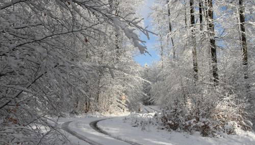 Ferienwohnung Schlierbachtal - Foto 5