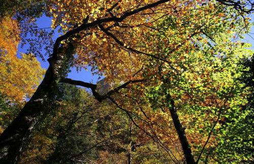 Apartamentos Best Ainsa - Photo 56