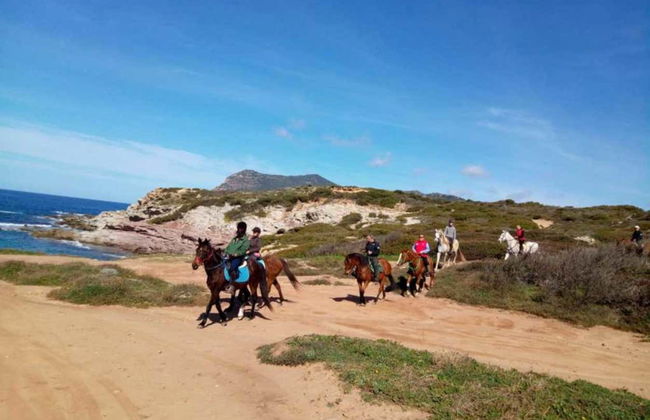 Paseo a caballo por la playa de Porto Ferro y el lago Baratz - Foto 4