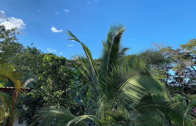 Yakari Grei Bungalows - Foto 31