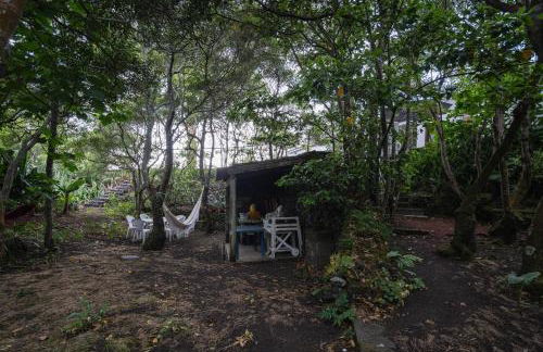 Quinta de São Caetano - São Miguel Açores - Photo 73