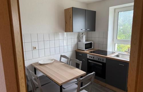 Monteurzimmer und Ferienwohnung bei Leuna, Halle, Leipzig - Foto 1