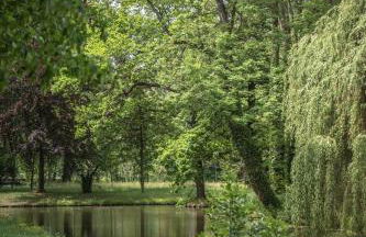 Ferienwohnung Josephine - Foto 29