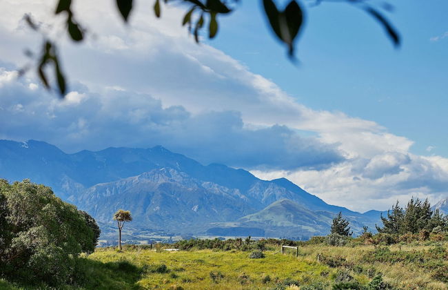 Barnacle Bills - Photo 51