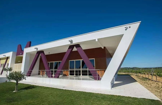 Visita à adega Quinta Monteiro de Matos - Foto 2