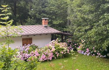 Relax, Comfort & Alps Adventures - Photo 50