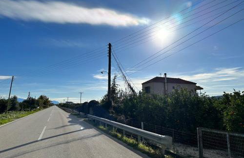 Orange Lemon Garden - Foto 41