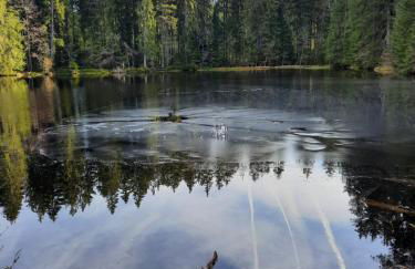 Appartement 13 im Haus Dreisessel - Foto 36