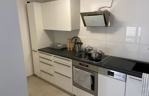 Großzügiges Apartment in Biberach an der Riss - Foto 2