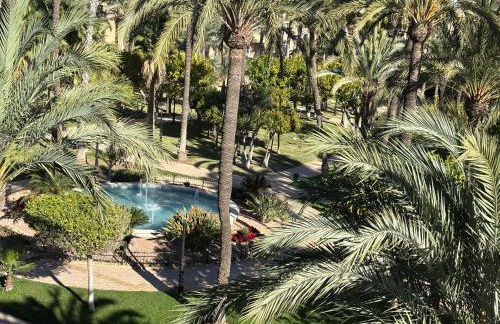 Apartamento primera línea playa Torrevieja El Palmeral - Foto 30