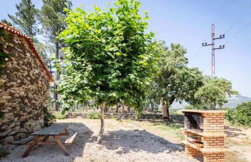 Casa do Feitor - Douro - Quinta da Cabrida - Foto 44