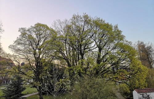 N13 Living - Foto 21