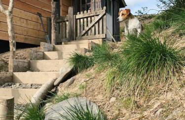 The Boatshed at Camp Plas - Photo 30