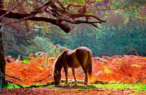 Railway Terrace - Foto 33