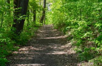 Wonderful Renovated Apartment With Great Location - Foto 42