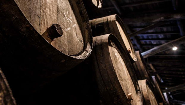 Barris da vinícola Taylor's