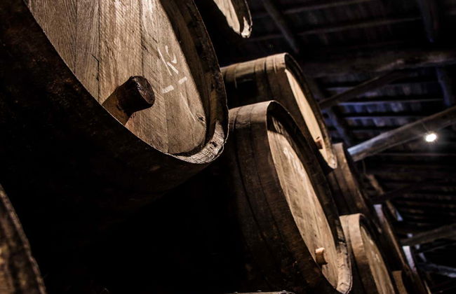 Visita à vinícola Taylor's - Foto 4