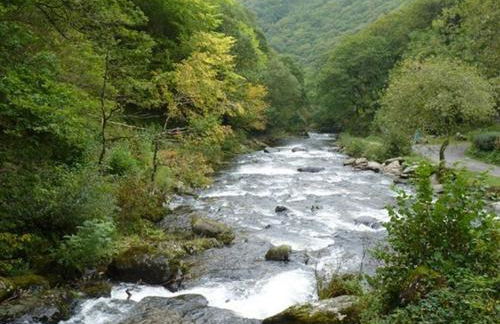 The Pack Horse Exmoor National Park Allerford Riverside Cottage & Apartments - Photo 9