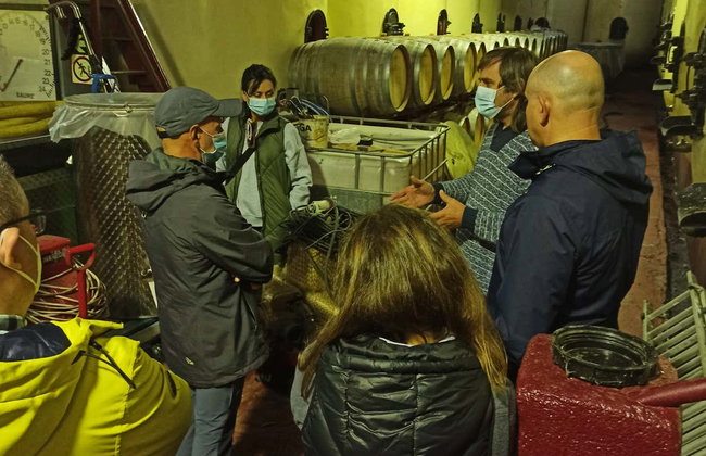 Visite de la cave Cristo del Humilladero - Photo 8